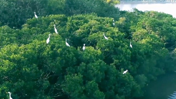 筼筜湖：厦门生态治理的典范